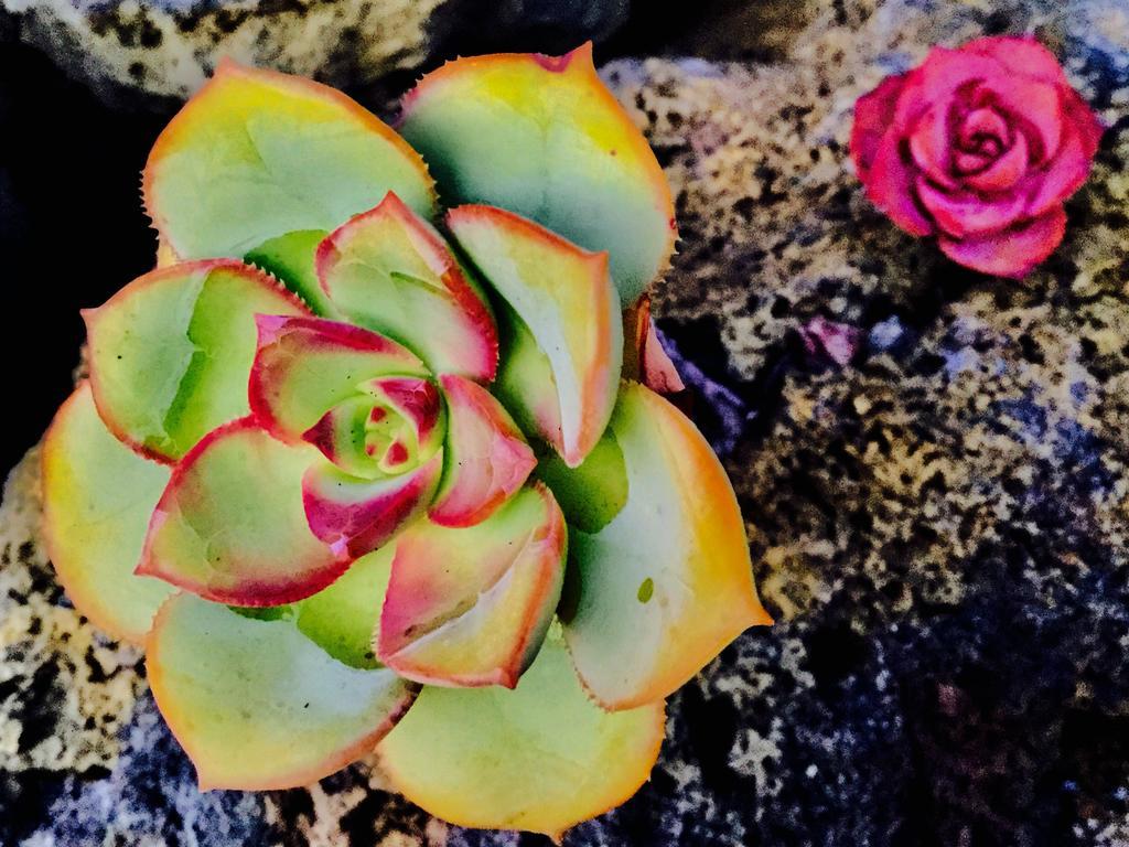 Finca Valentina Тигалате Экстерьер фото